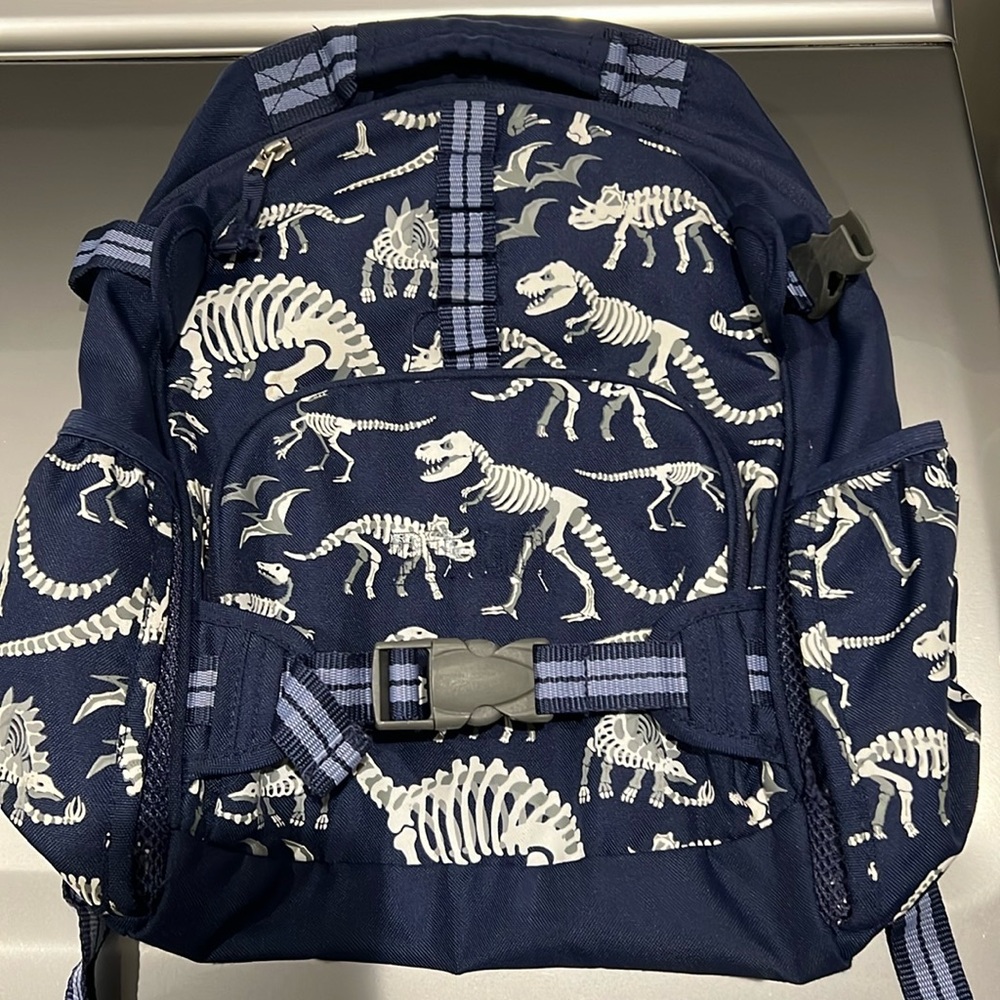 Pottery Barn Kids dinosaur backpack